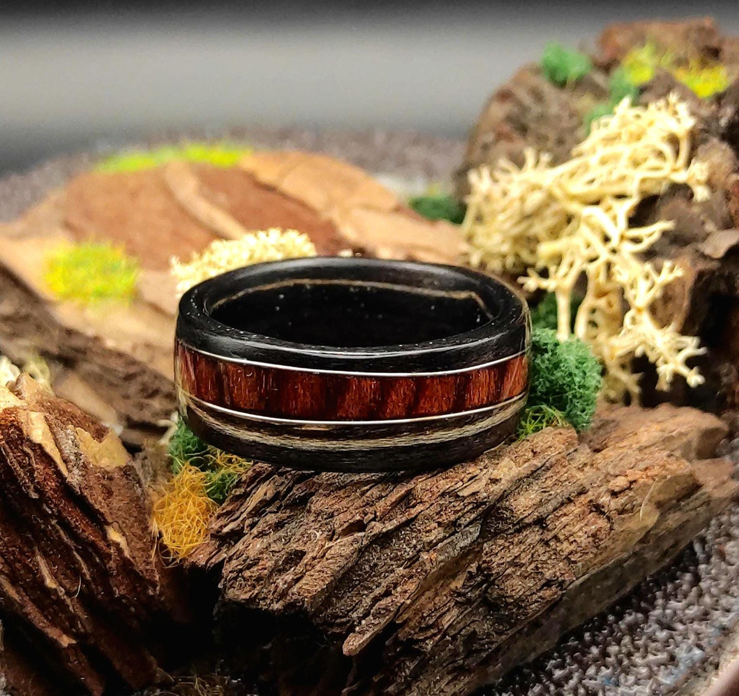 Zebrano & Rosewood Bentwood Ring