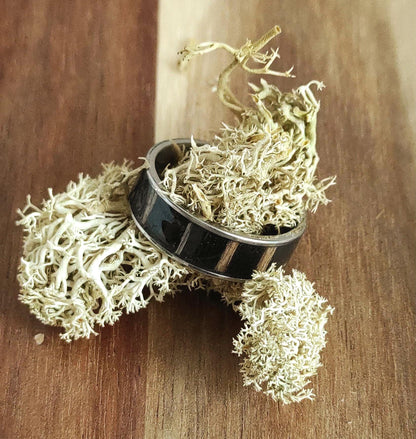 Męski pierścionek ze stali chirurgicznej z intarsją z czarnego drewna Zebrano (Black Zebrawood) – nowoczesny dodatek dla mężczyzn - WoodRingsByJet
