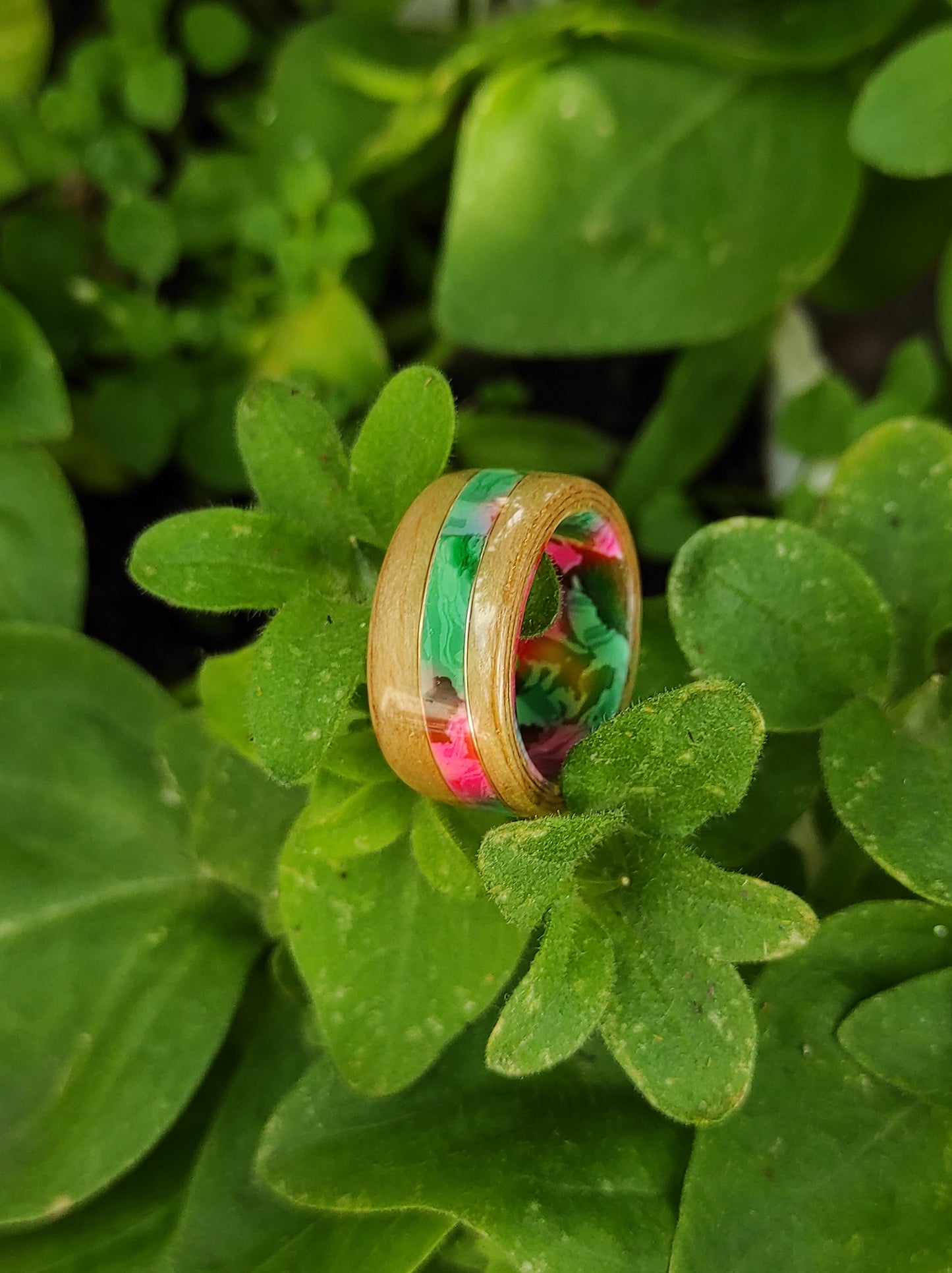 Beech Spectrum - Wooden Ring