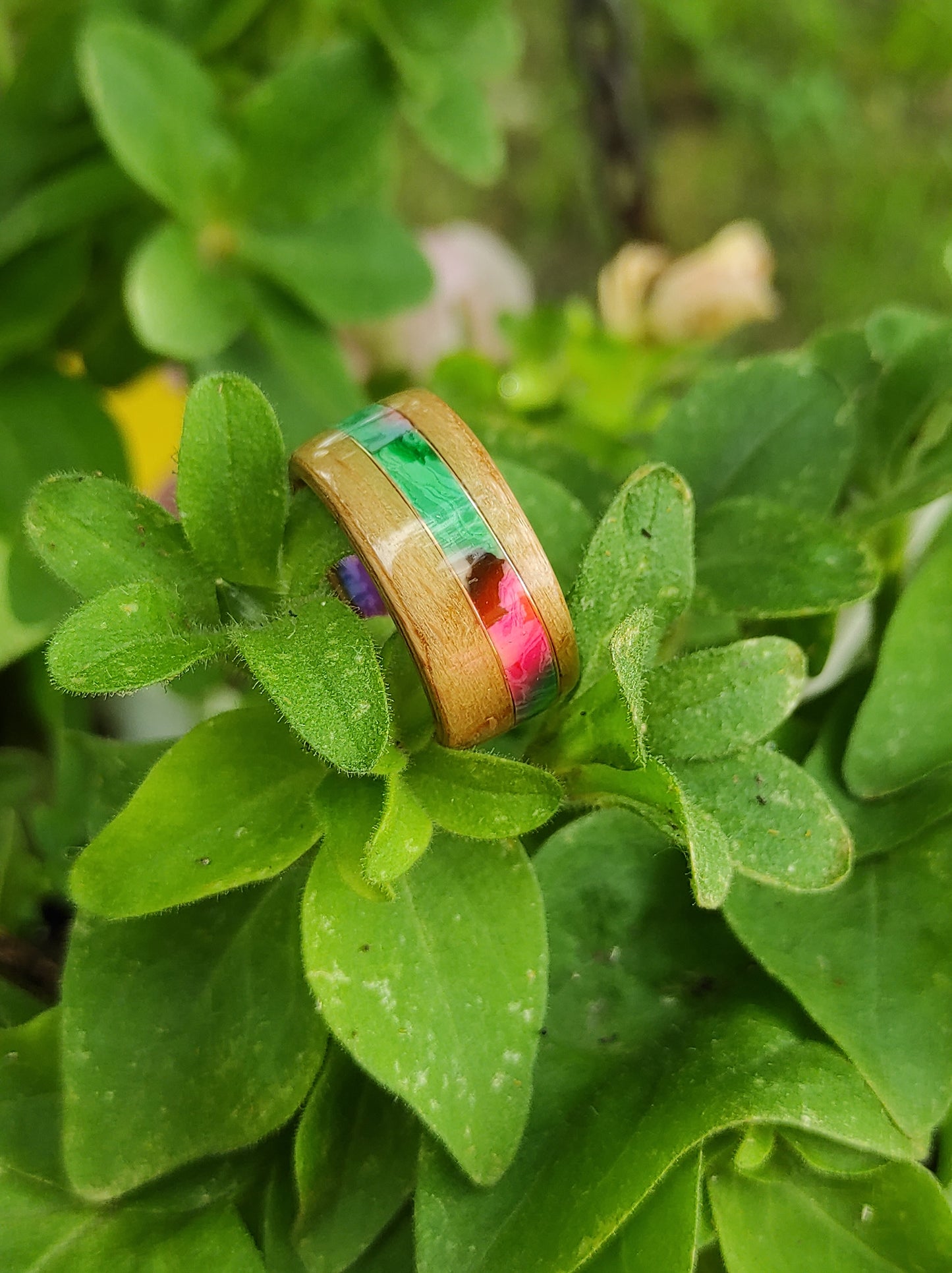 Beech Spectrum - Wooden Ring